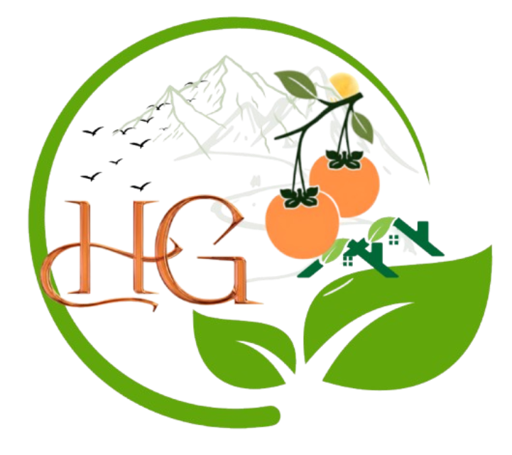 Hồng Treo Gió HG